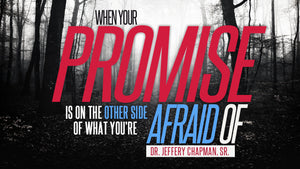 When Your PROMISE Is On The Other Side Of What You Are Afraid Of